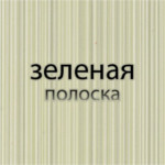 зеленые полоски зеленые полоски