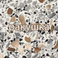 Ракушка Ракушка
